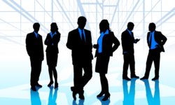 Professional Experience