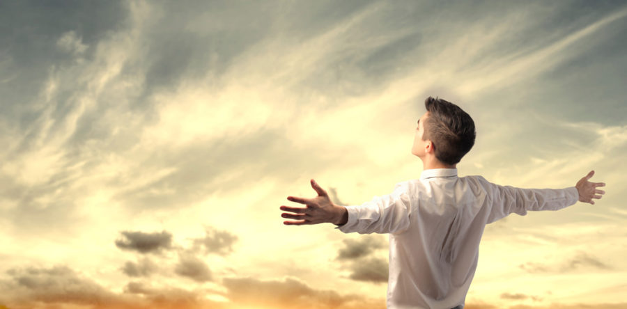 Sed blandit massa vel